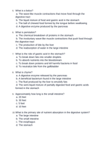 The Digestive System Unit Test sample page