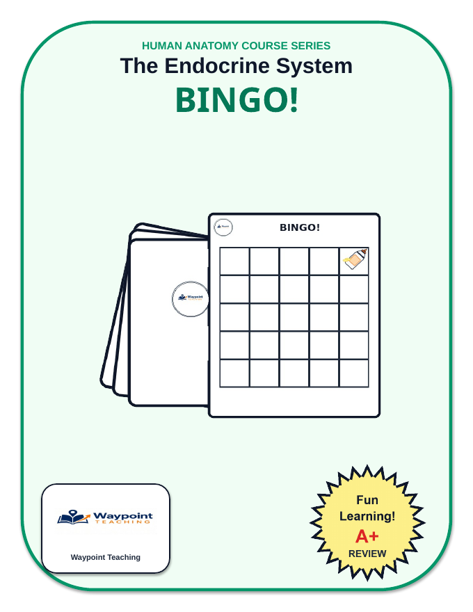 The Endocrine System BINGO Review Game sample page