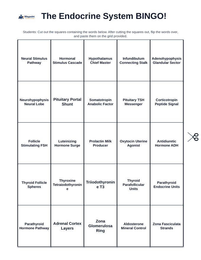 The Endocrine System BINGO Review Game sample page