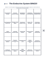 The Endocrine System BINGO Review Game sample page