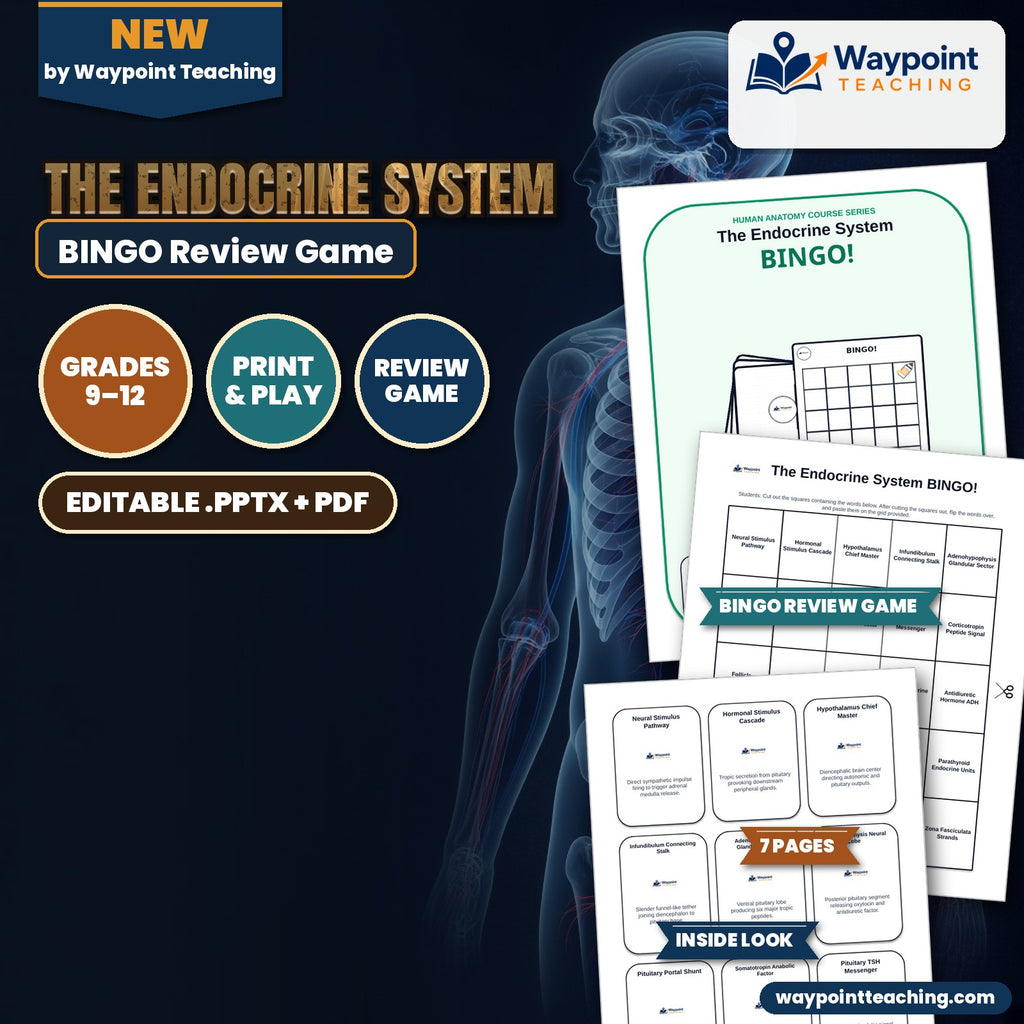 The Endocrine System BINGO Review Game cover