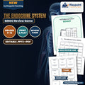 The Endocrine System BINGO Review Game cover