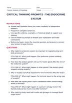 The Endocrine System Critical Thinking Prompts sample page
