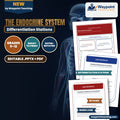 The Endocrine System Differentiation Stations cover