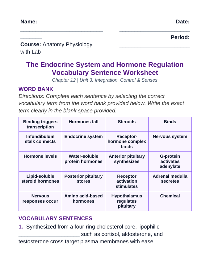 The Endocrine System Fill-in-the-Blank Vocabulary Worksheet sample page