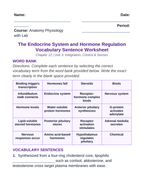 The Endocrine System Fill-in-the-Blank Vocabulary Worksheet sample page