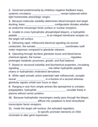 The Endocrine System Fill-in-the-Blank Vocabulary Worksheet sample page