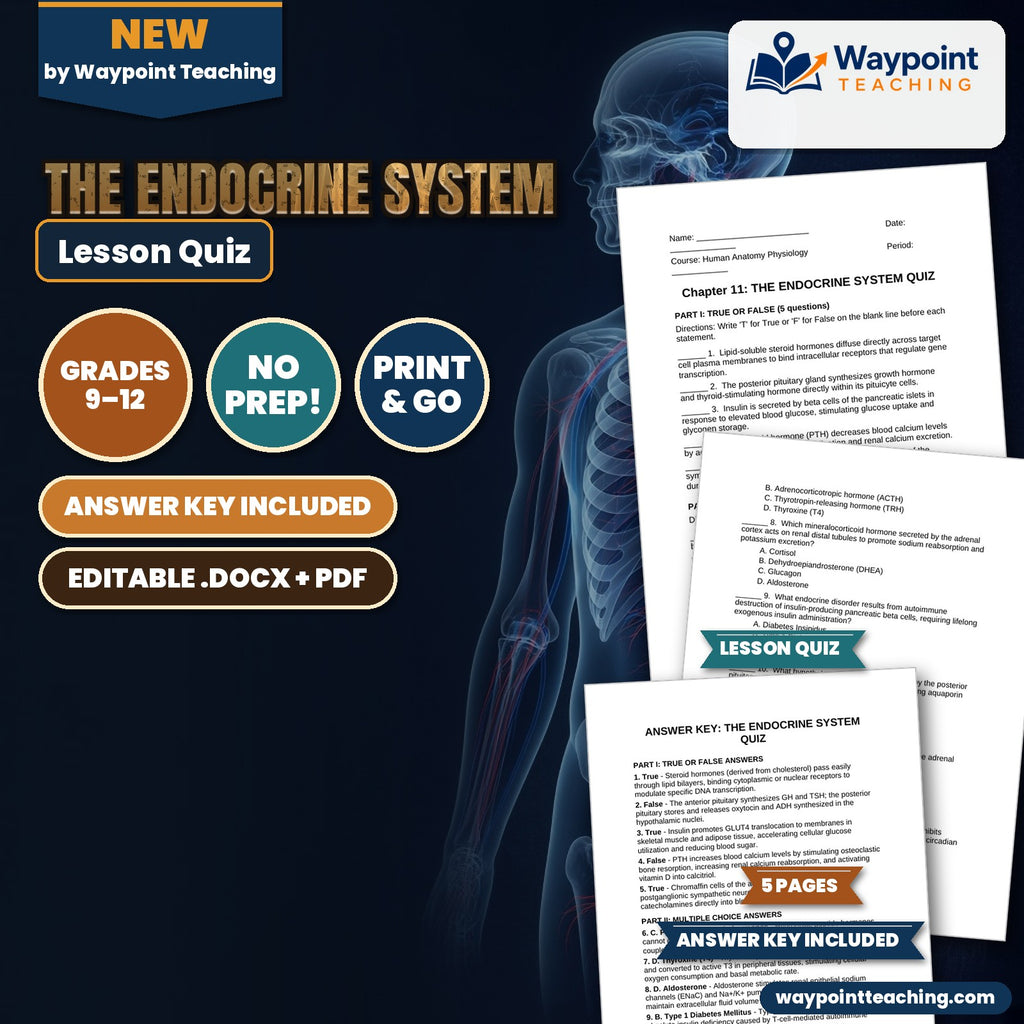 The Endocrine System Lesson Quiz cover