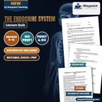 The Endocrine System Lesson Quiz cover