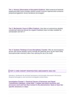 The Endocrine System Phenomena-Based Lesson: The Unchecked Giant: Why an 8-Foot-11 Man Never Stopped Growing Student Response Sheet sample page