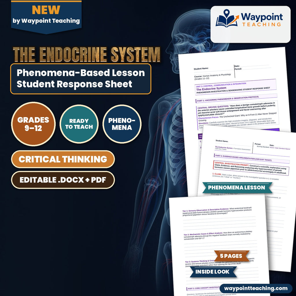 The Endocrine System Phenomena-Based Lesson: The Unchecked Giant: Why an 8-Foot-11 Man Never Stopped Growing Student Response Sheet cover