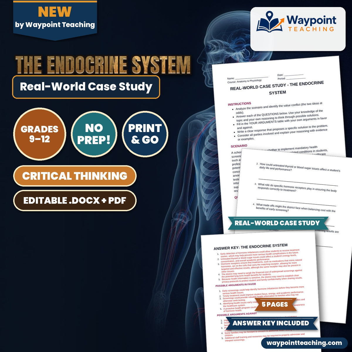 The Endocrine System Real-World Case Study cover