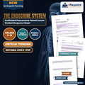 The Endocrine System Scaffolded Phenomena-Based Lesson: The Unchecked Giant: Why an 8-Foot-11 Man Never Stopped Growing Student Response Sheet cover