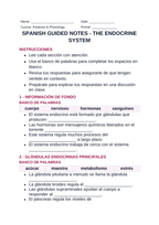 The Endocrine System Spanish Guided Notes sample page