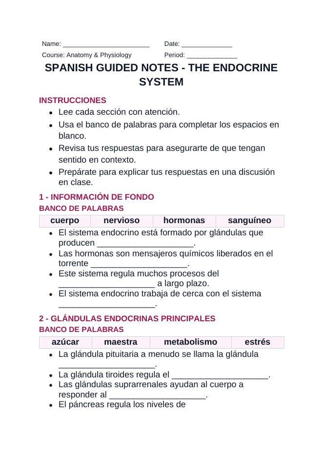 The Endocrine System Spanish Guided Notes sample page