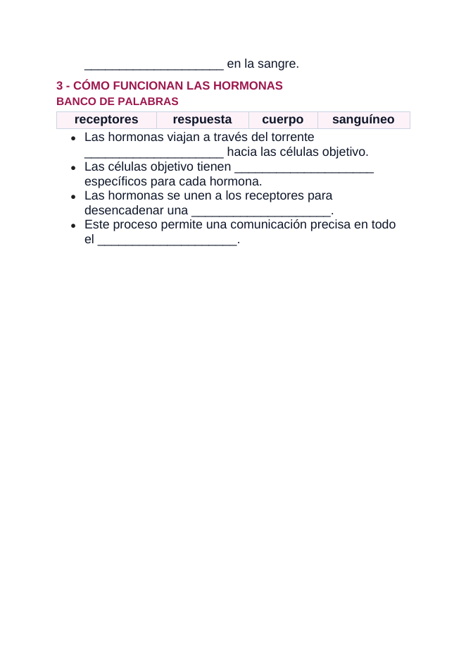 The Endocrine System Spanish Guided Notes sample page
