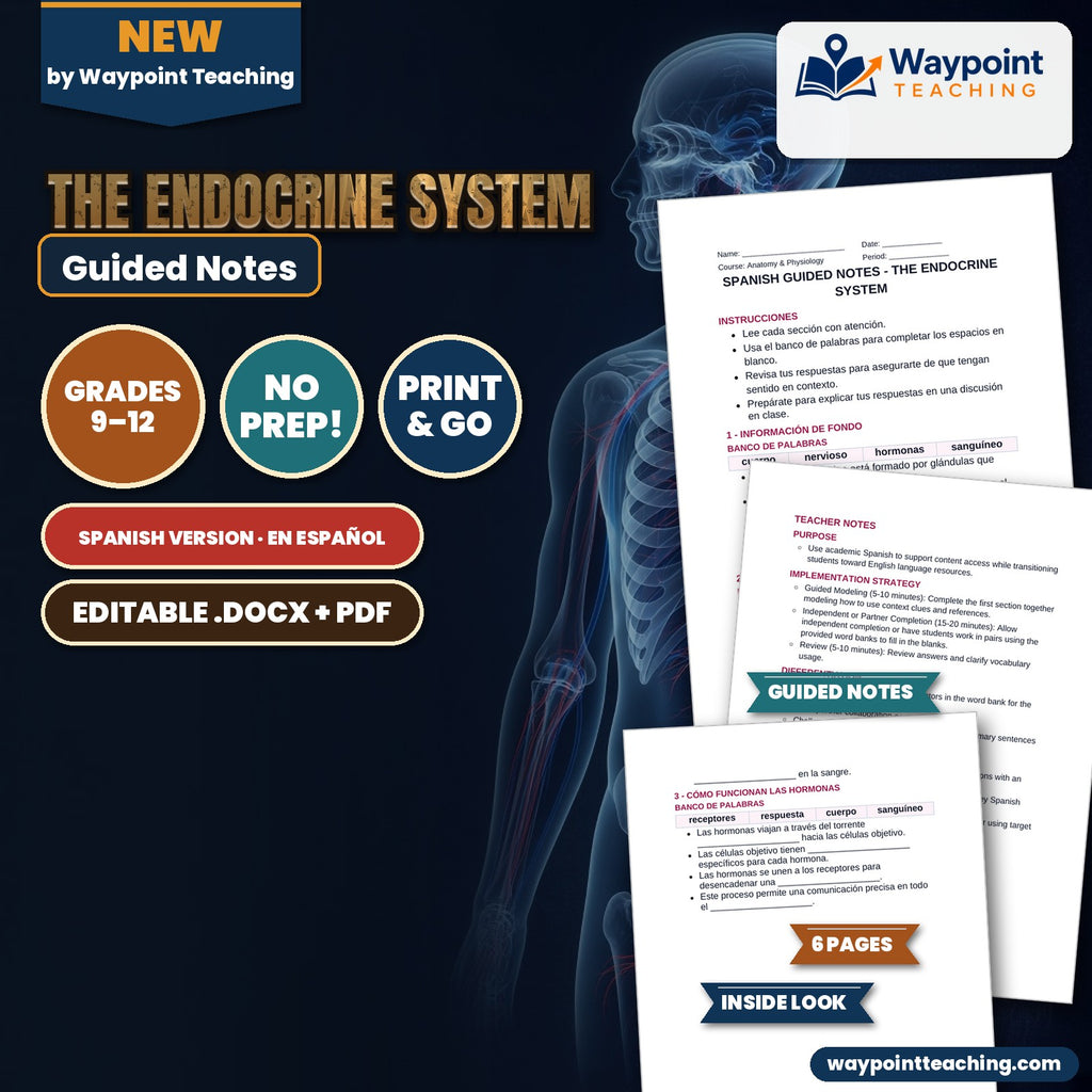 The Endocrine System Spanish Guided Notes cover
