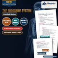 The Endocrine System Spanish Guided Notes cover