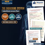 The Endocrine System Substitute Lesson Plan cover