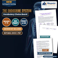 The Endocrine System Vocabulary Choice Board cover