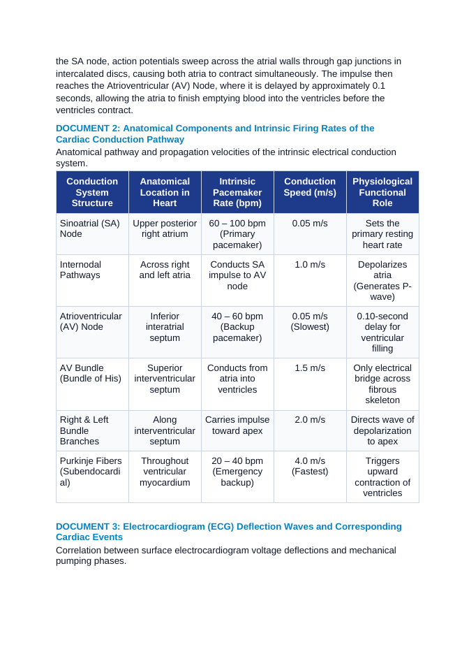 The Heart's Electrical Conduction System: SA Node Pacemaker and Cardiac Arrhythmias CER Phenomena Worksheet sample page