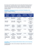 The Heart's Electrical Conduction System: SA Node Pacemaker and Cardiac Arrhythmias CER Phenomena Worksheet sample page