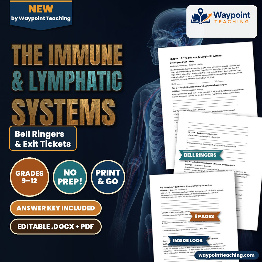 The Immune & Lymphatic Systems Bell Ringers & Exit Tickets cover