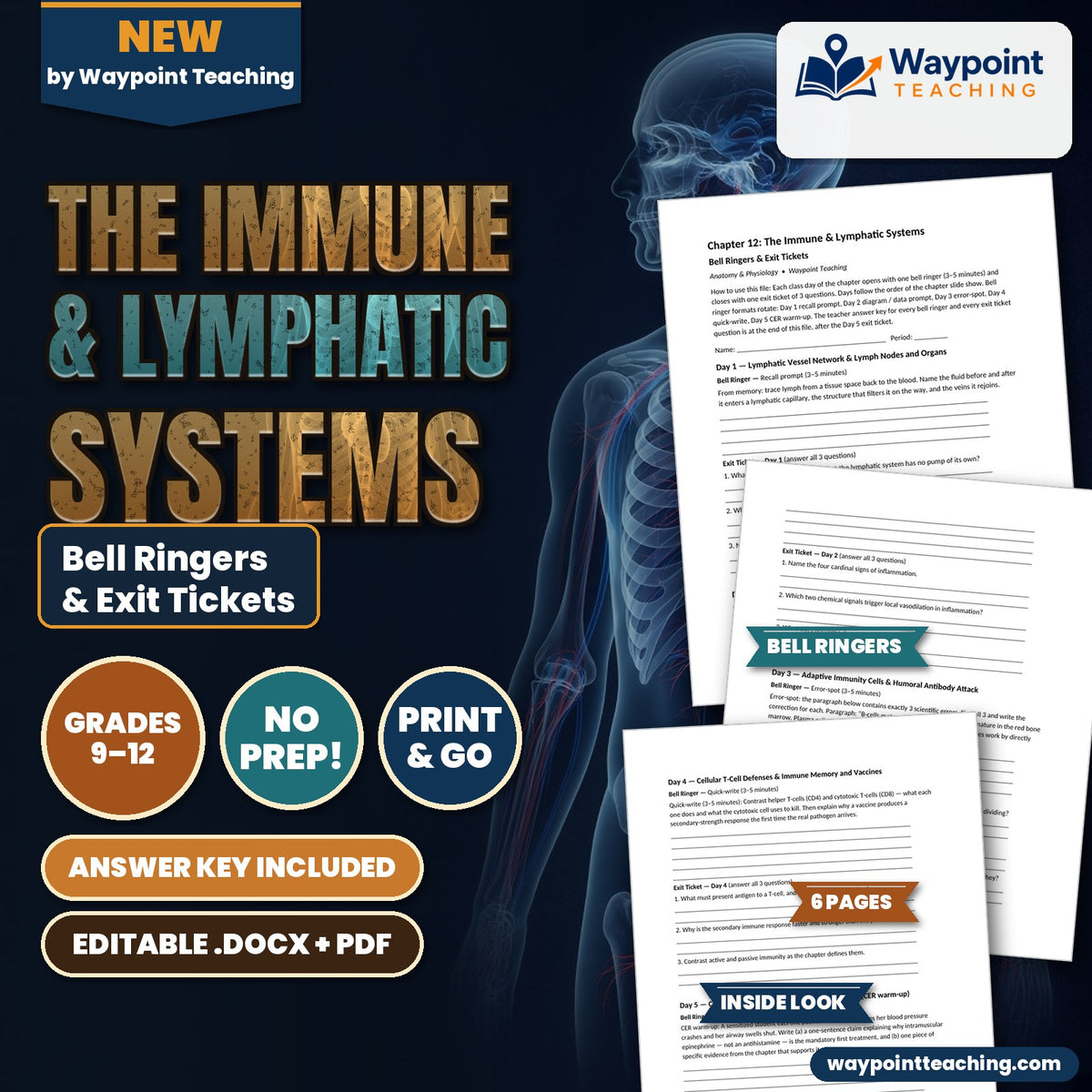The Immune & Lymphatic Systems Bell Ringers & Exit Tickets cover