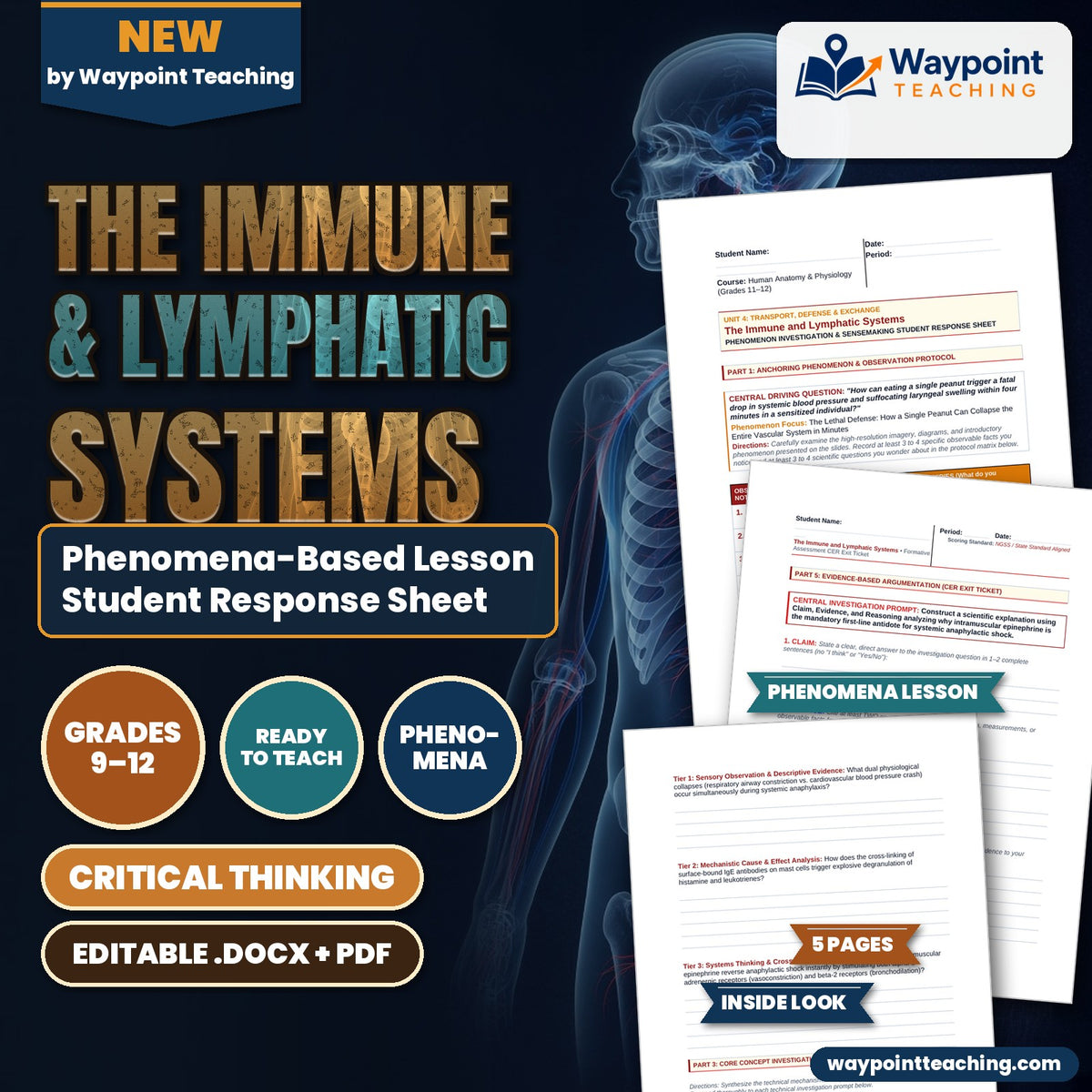 The Immune & Lymphatic Systems Phenomena-Based Lesson: The Lethal Defense: How a Single Peanut Can Collapse the Entire Vascular System in Minutes Student Response Sheet cover