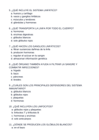 The Immune & Lymphatic Systems Spanish Unit Test sample page