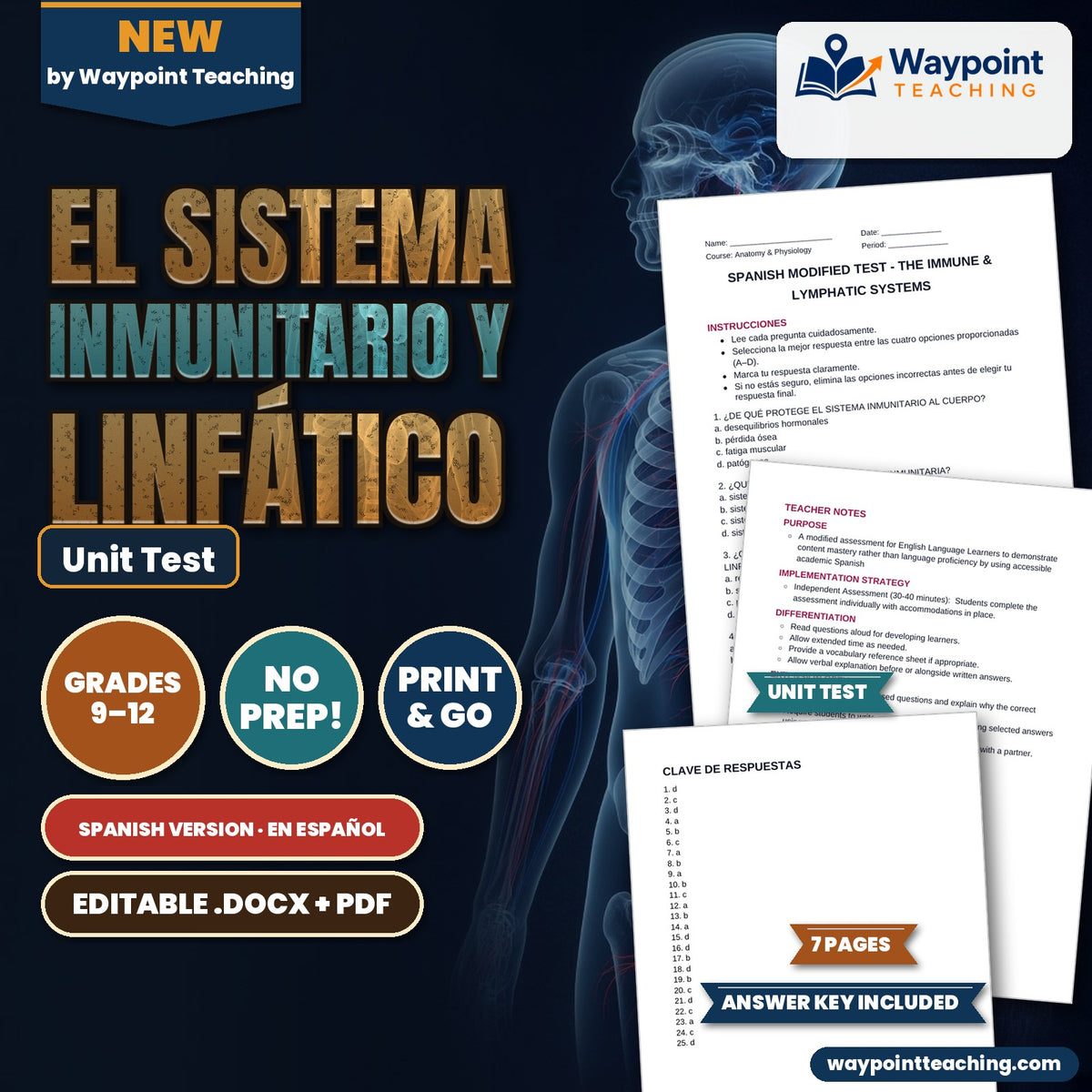 The Immune & Lymphatic Systems Spanish Unit Test cover