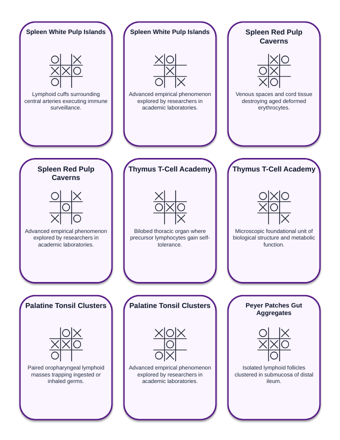 The Immune & Lymphatic Systems Tic-Tac-Toe Review Game sample page