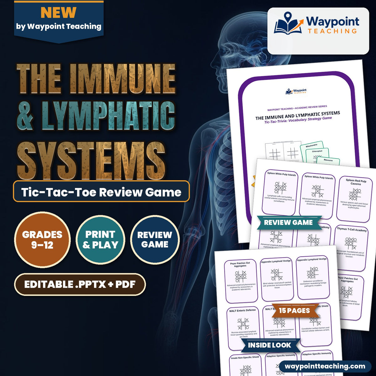 The Immune & Lymphatic Systems Tic-Tac-Toe Review Game cover