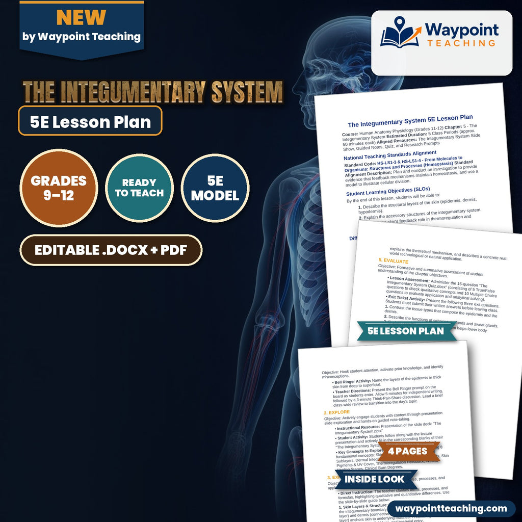 The Integumentary System 5E Lesson Plan cover