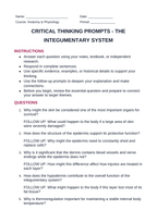 The Integumentary System Critical Thinking Prompts sample page