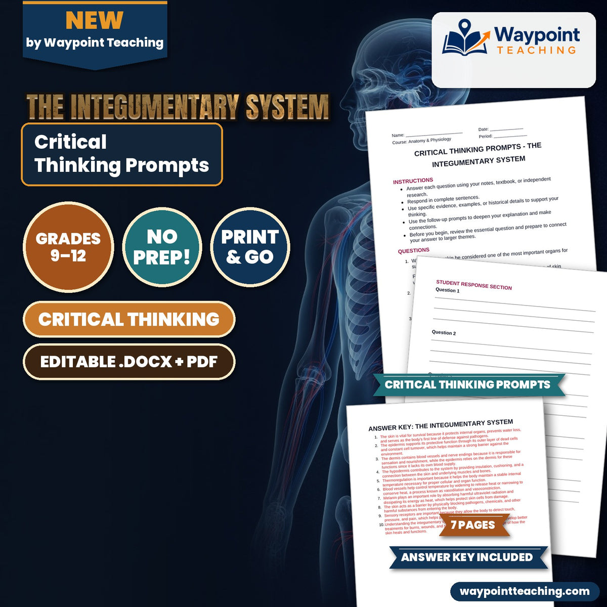 The Integumentary System Critical Thinking Prompts cover