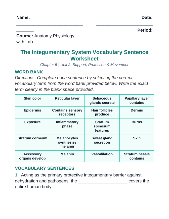 The Integumentary System Fill-in-the-Blank Vocabulary Worksheet sample page