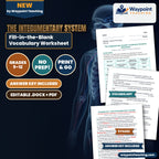 The Integumentary System Fill-in-the-Blank Vocabulary Worksheet cover