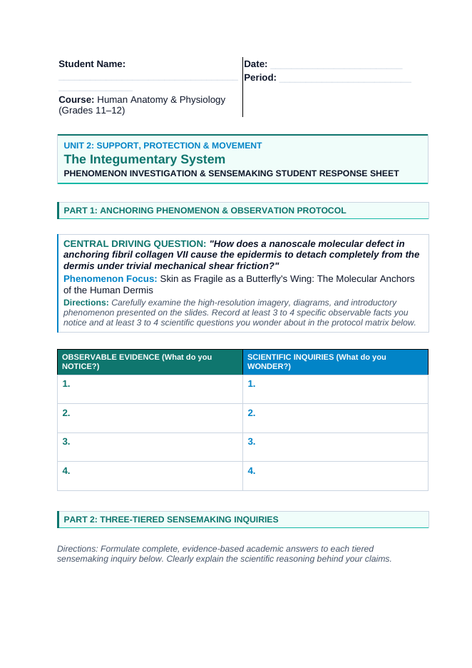 The Integumentary System Phenomena-Based Lesson: Skin as Fragile as a Butterfly's Wing: The Molecular Anchors of the Human Dermis Student Response Sheet sample page