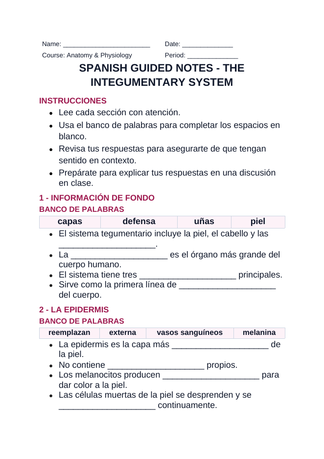 The Integumentary System Spanish Guided Notes sample page