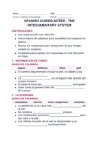 The Integumentary System Spanish Guided Notes sample page