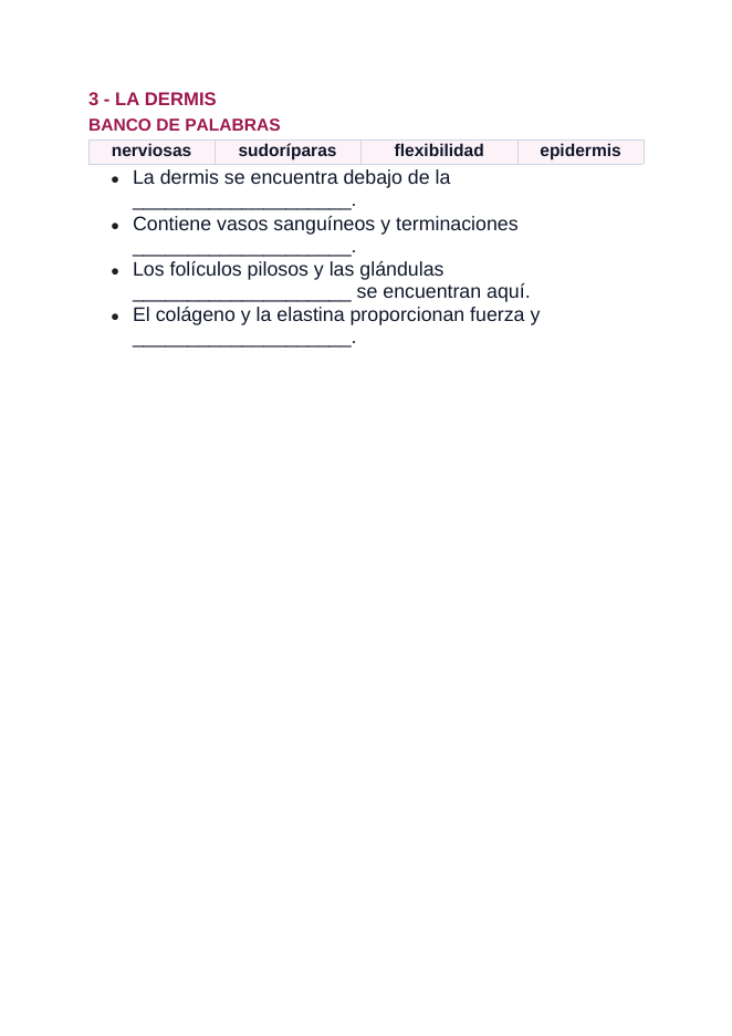 The Integumentary System Spanish Guided Notes sample page