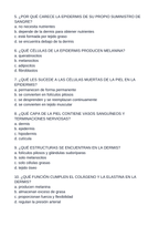 The Integumentary System Spanish Unit Test sample page