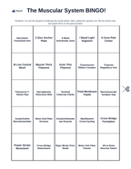 The Muscular System BINGO Review Game sample page