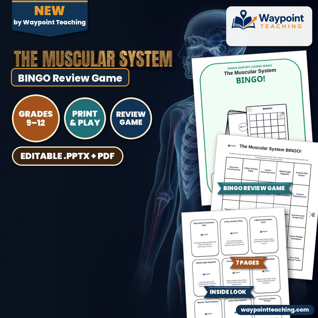 The Muscular System BINGO Review Game cover