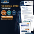 The Muscular System CER Task Cards cover