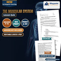The Muscular System Lesson Quiz cover