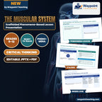 The Muscular System Scaffolded Phenomena-Based Lesson: The Postmortem Lock: Why Muscles Turn to Stone When Cellular Energy Dies Presentation cover