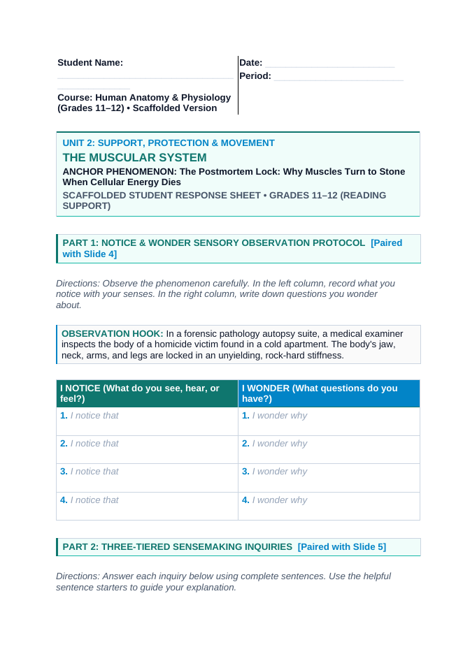 The Muscular System Scaffolded Phenomena-Based Lesson: The Postmortem Lock: Why Muscles Turn to Stone When Cellular Energy Dies Student Response Sheet sample page