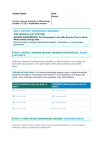 The Muscular System Scaffolded Phenomena-Based Lesson: The Postmortem Lock: Why Muscles Turn to Stone When Cellular Energy Dies Student Response Sheet sample page